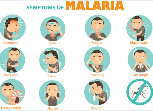 Nejčastější příznaky malárie - zimnice, horečka, bolest svalů, zvraceni, pocení
