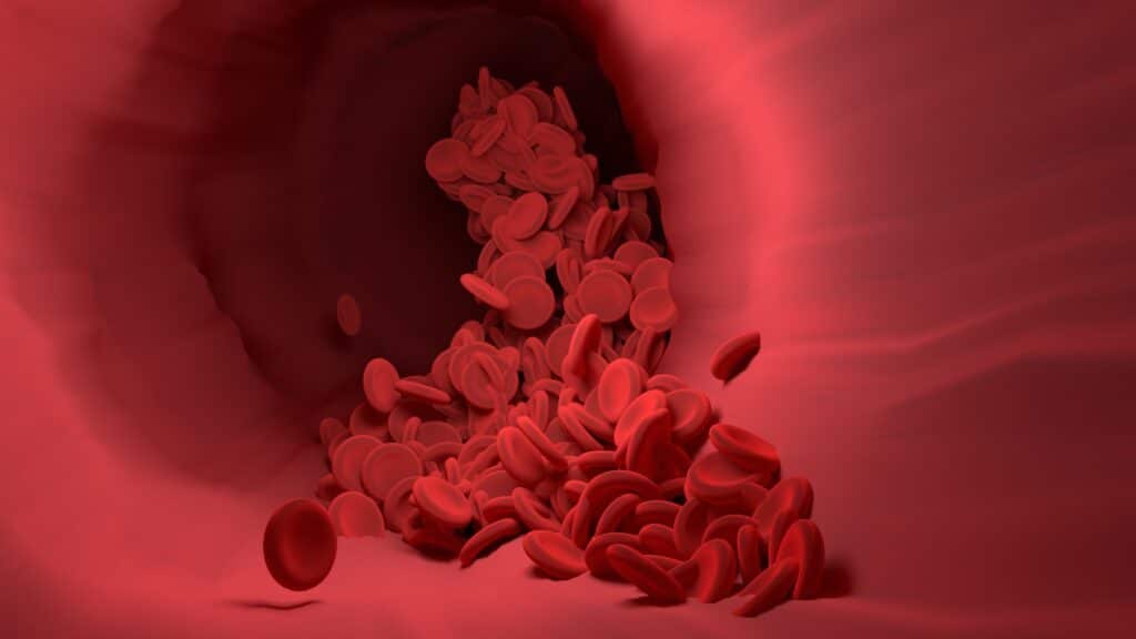 Krevní destičky putující cévou