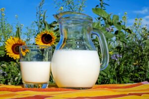 Džbán a sklenice s mlékem v pozadí je slunečnicové pole.