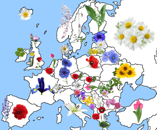 Národní květiny jednotlivých států Evropy.