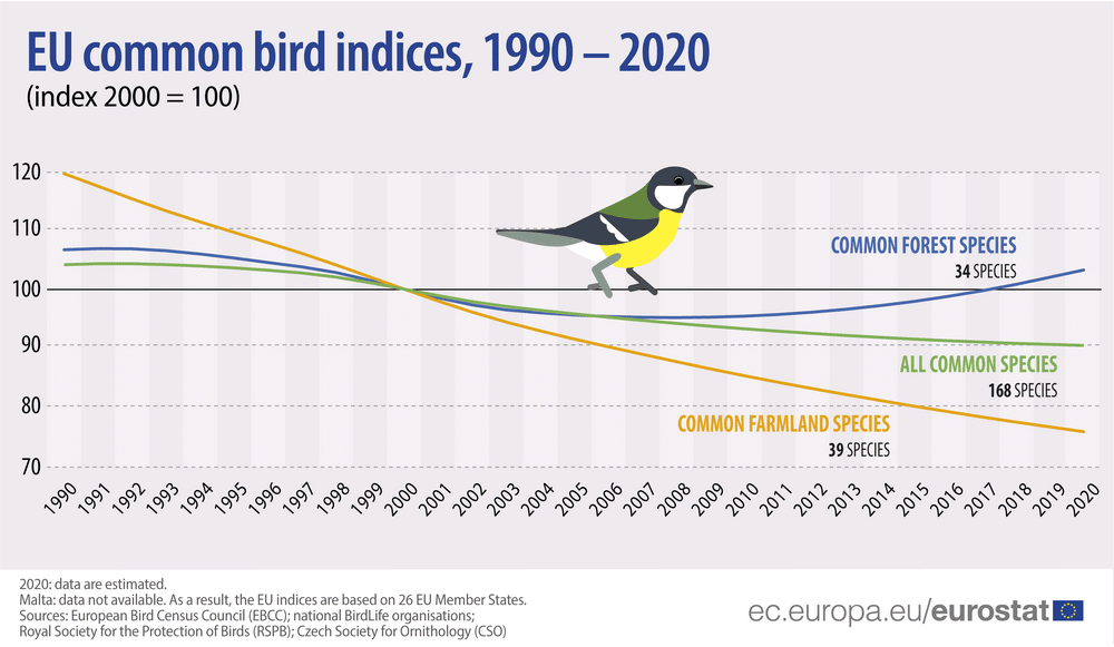 Úbytek ptačí populace