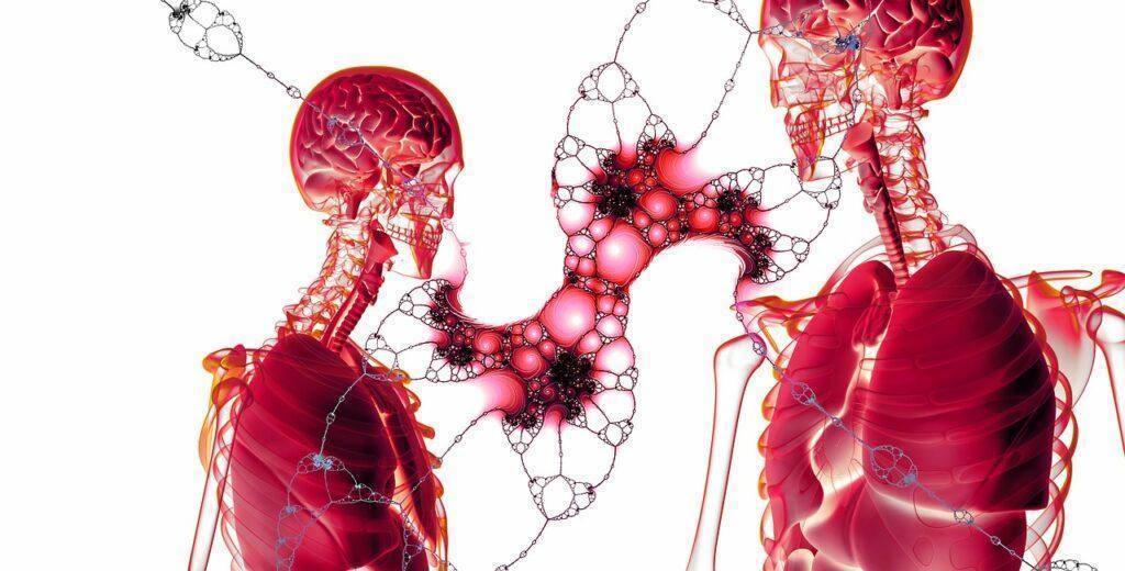 Dvě těla v červené barvě, ukazují nemocné buňky na plicích.