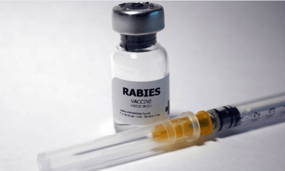 Očkování je hlavní preventivní opatření proti vzteklině