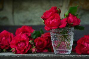 Červené růže ve skleněné váze i okolo ní.