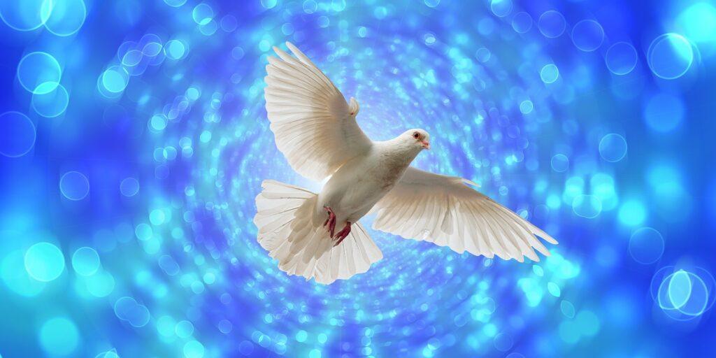 Bílá letící holubice na modrém pozadí