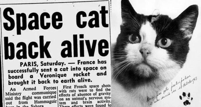 Vesmírná kočka Félicette na titulní straně novin.