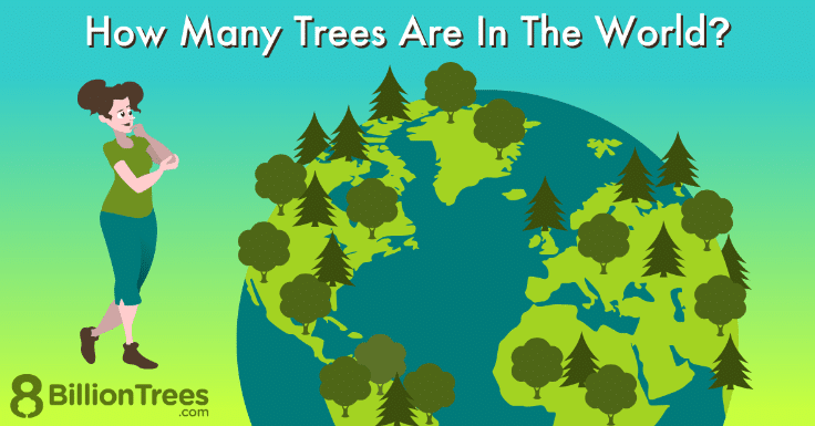 Počet stromů na světě v roce 2023.