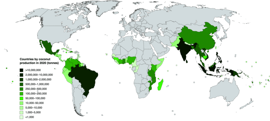 Statistické údaje o produkci kokosu ve světě v roce 2020.