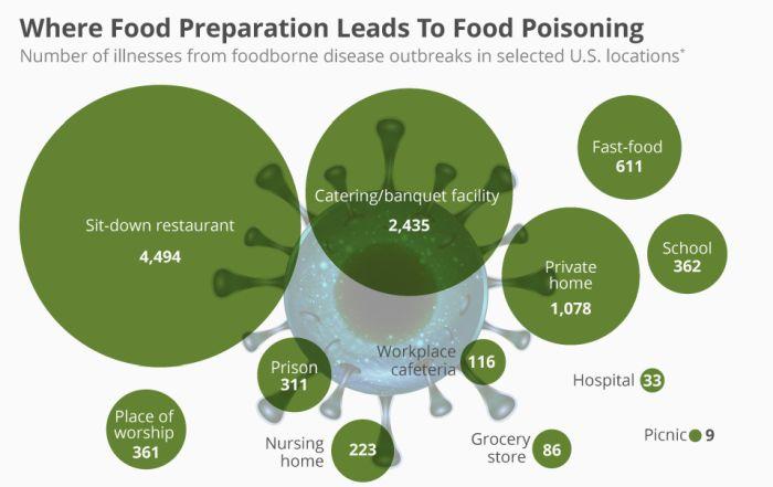 Grafické znázornění míst, kde nejčastěji dochází k otravě potravinami.