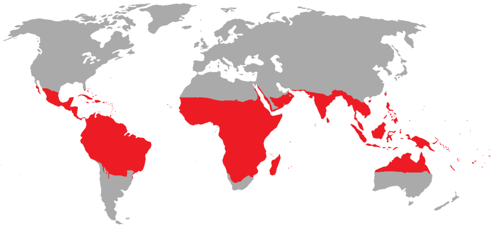 Znázornění tropického pásu na mapě světa.